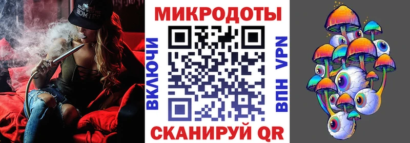 Галлюциногенные грибы Psilocybine cubensis  Анапа 